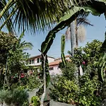 View Gardens Funchal (Madeira)