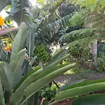 View Gardens 펜션 푼샬