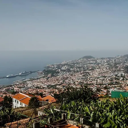 View Gardens *