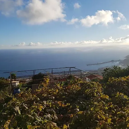 View Gardens