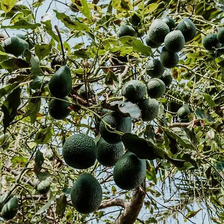 Дом отдыха View Gardens