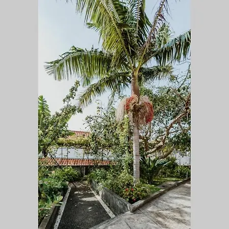 View Gardens Фуншал