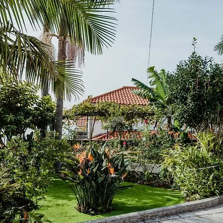 Дом отдыха View Gardens Фуншал
