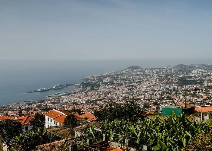 View Gardens *