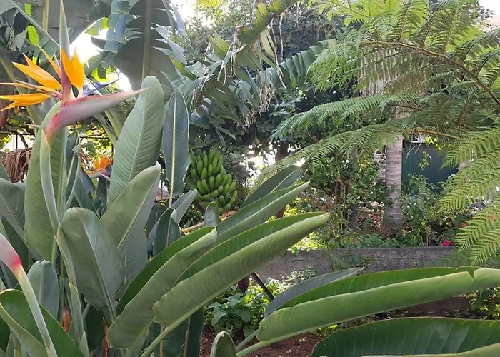 View Gardens Dom wakacyjny Funchal (Madeira)