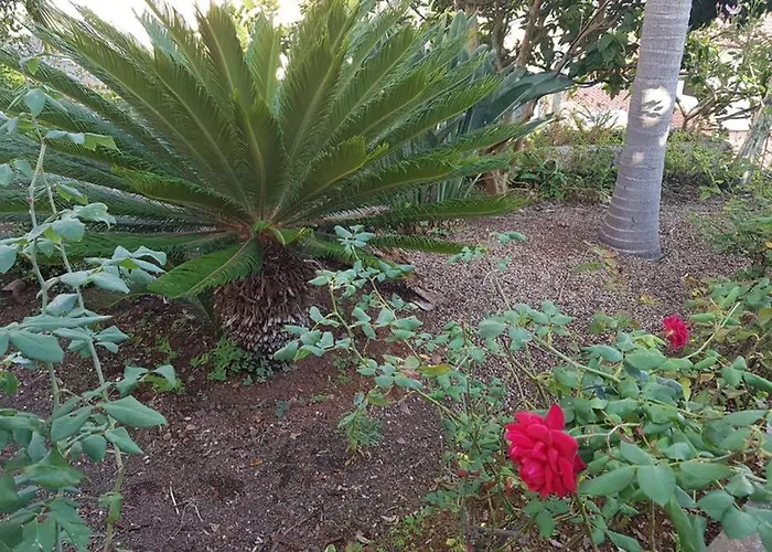 Dom wakacyjny View Gardens Funchal (Madeira)