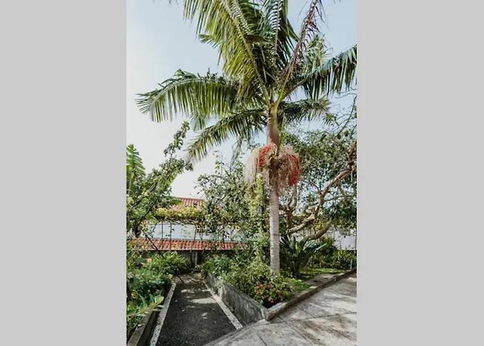 View Gardens Funchal (Madeira)