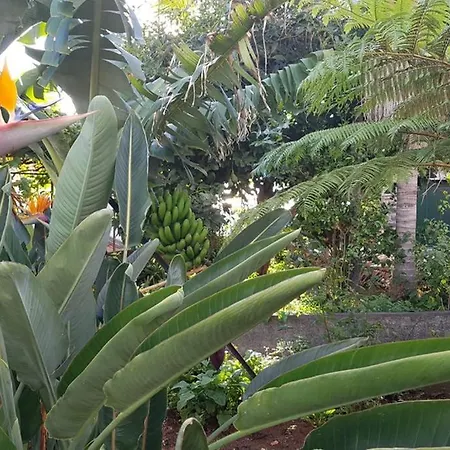 View Gardens Tatil Evi Funchal